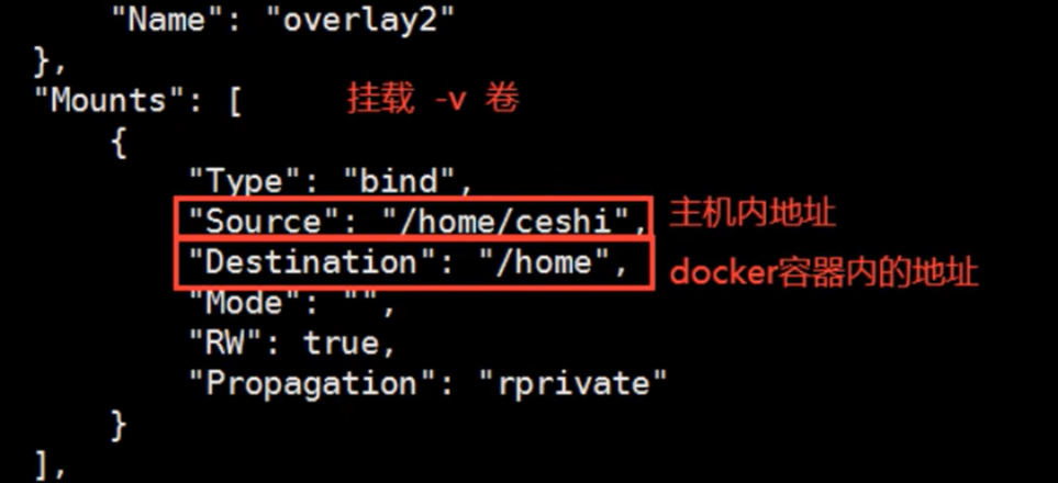双向绑定挂载数据卷